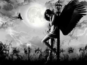 Sexy angels wallpapers
