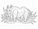 Coloring Rhinoceros Pages Museprintables Printable Rhinos Choose Board sketch template