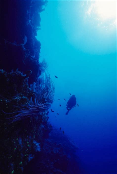 deep ocean   open water