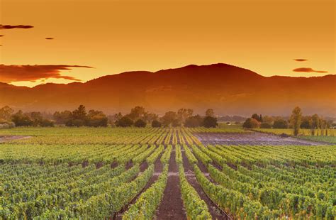 summer  napa valley weather  event guide