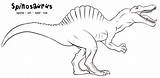 Spinosaurus Dinosaur sketch template