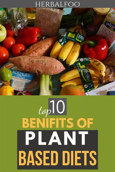 Top 10 Benefits Of Plant Based Diets Plant Based Diet