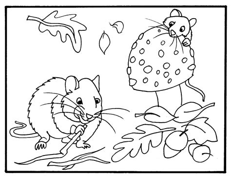fall coloring pages printable activity shelter