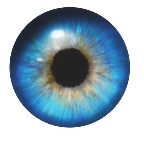 eye png eye transparent background freeiconspng