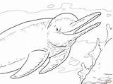 Dolphin Coloring Pages River Amazon Tale Pink Dolphins Boto Drawing Supercoloring Printable Adults Main Animals Color Draw Easy Winter Getcolorings sketch template
