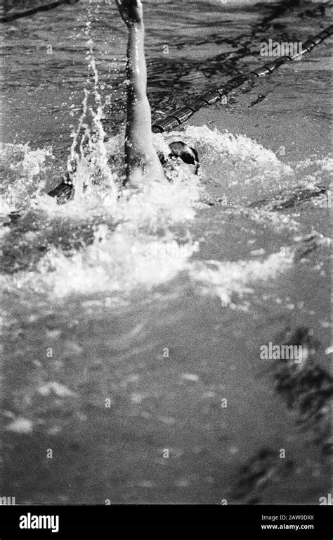national swimming championships  zutphen fred eeftink  action backstroke date march