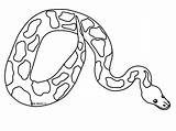 Python Coloring Pages Snake Printable Color sketch template