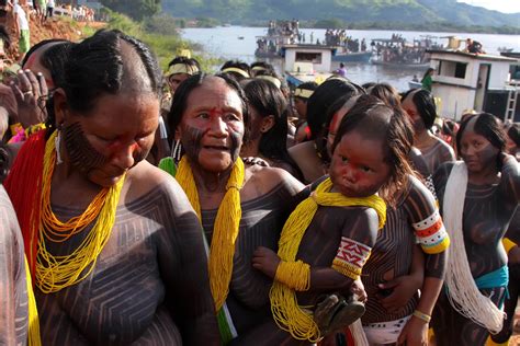 povos indigenas  brasil