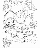 Coloring Chicken Pages Farm Animal Chickens Kids Printable Sheets Bird Early Cute Worm Gets Sheet Adult Colouring Honkingdonkey Color Chick sketch template