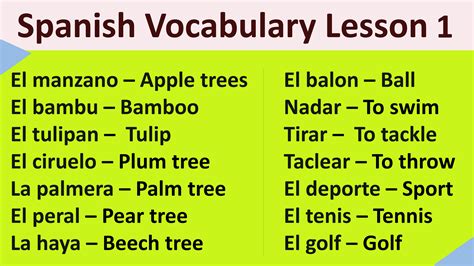 spanish vocabulary lesson  etsy hong kong