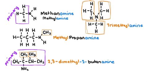 amines  amides youtube