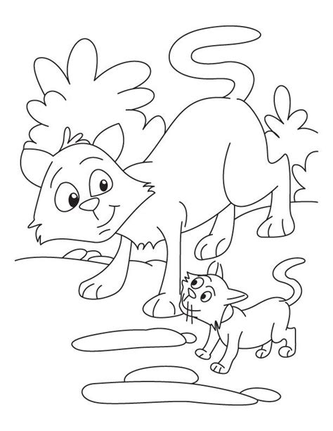 cat  kitten coloring page coloring pages kittens coloring