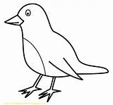 Burung Robin Mewarnai Birds Tk Paud Passarinho Designlooter Animasi Robins Merpati Hewan Bigactivities Passarinhos Berbagai Riska Puyuh Aneka Sumber Temukan sketch template