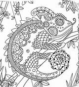 Lizard Mandalas Lizards Kameleon Kleurplaten Kleurplaat Camaleonte Ranas Frogs Chameleon Snake Printables sketch template