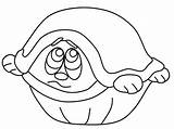 Turtle Coloring Scared Hiding Pages Turtles Print Coloringcrew Ws sketch template