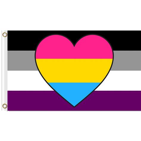 Asexual Panromantic Combo Flag 3x5 Ft Printed Polyester Large Gay Pride