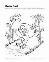 Extinct Dodo Endangered sketch template