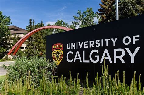university  calgary   foreign universities set  open