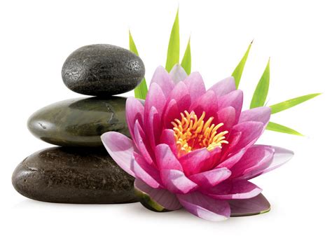 Use Hot Stones To Warm Your Body During Massage Elements Massage Mequon
