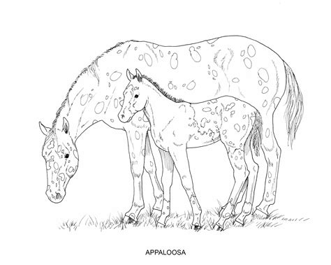 realistic ponies coloring pages