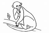 Ausmalbild Affe Malvorlagen Drucken sketch template
