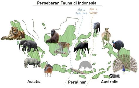 persebaran hewan  indonesia