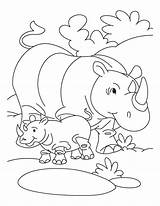 Coloring Rhino Baby Getcolorings Batch sketch template