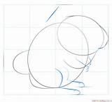 Chinchilla Draw Step Drawing sketch template