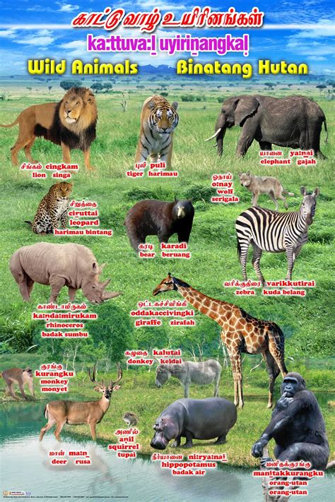 wild animals chart jaya bakti