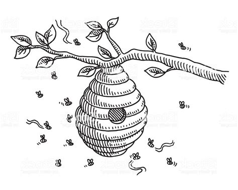 beehive drawing google search bee drawing bee art branch drawing