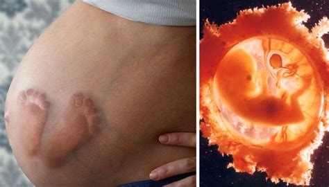 8 Utterly Weird Scientific Facts About Pregnancy