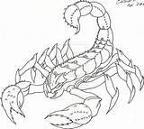 Scorpion Outline Tattoo Drawing Cat Lw Coverup Sean Lucky Getdrawings Deviantart sketch template
