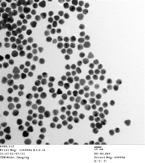 scientific image gold nanoparticles nise network