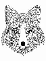 Coloriage Difficile Renard Coloriages Renards Tete sketch template