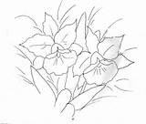 Orquideas Riscos Rabiscos Tecido Orquídeas Nil Coisasdenil Risco sketch template