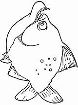 Coloring Pages Piranha Piranhas Fish Printable Designlooter Print Color Library Clipart Popular Recommended sketch template