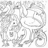 Coloring Animals Pages Rainforest Australian Australia Printable Forest Amazon Kids Colouring Animal Jungle Colour Keys Birds Clip Getdrawings Activity Library sketch template