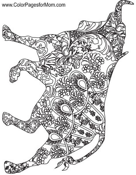 animal coloring page  coloring pages animal coloring pages