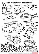 Biologist Marine Fishy sketch template