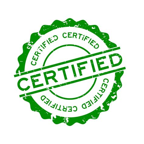 certified translation services language solutions
