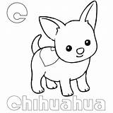 Chihuahua Coloring Pages Kids sketch template