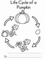 Pumpkin Cycle Life Writing Activity Seed Plant Science Coloring Clipart Book Nancy Pages Teacherspayteachers Template Activities Teaching Classroom Visit Preschool sketch template