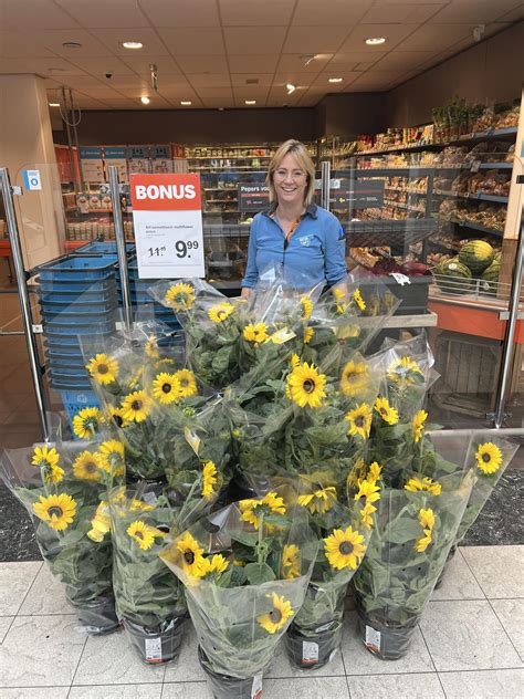 deze leuke zonnebloemen albert heijn kamphuis helmerhoek facebook