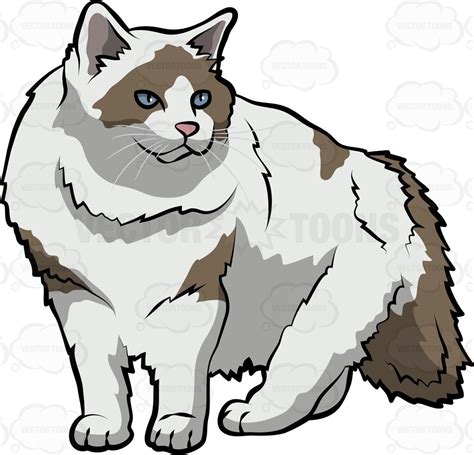 Ragdoll Cat Clipart 20 Free Cliparts Download Images On
