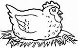 Hen Coloring Chicken Pages Little Fried Red Kids Getcolorings Printable Color Print Tasty sketch template