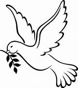 Coloring Pages Peace Dove Choose Board Outline sketch template