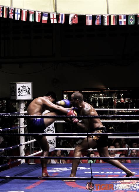 fighting thai tiger muay thai and mma training camp guest fights