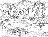 Caiman Coloring Pages Sheet Fresh Getcolorings Printable Color Getdrawings Robin Great sketch template