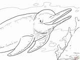Dolphin Coloring Pages River Amazon Tale Pink Dolphins Boto Supercoloring Drawing Printable Adults Getcolorings Animals Winter Main Color Colorings Draw sketch template