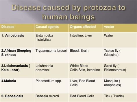 What Infectious Disease Is Caused By A Protozoan Captions Quotes